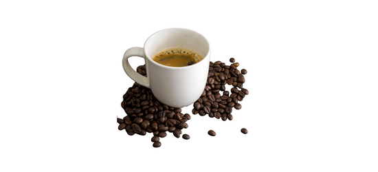Fresh Brew Coffee Cup