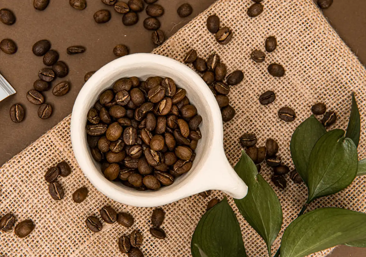 coffee beans in cup