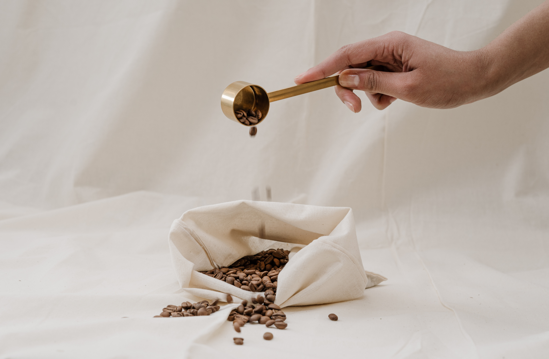 coffee beans and scoop